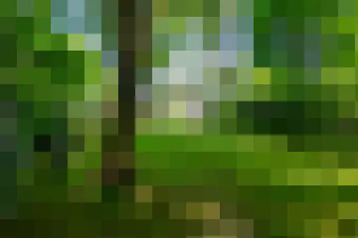 Dintel 39 Tilburg thumbnail 47