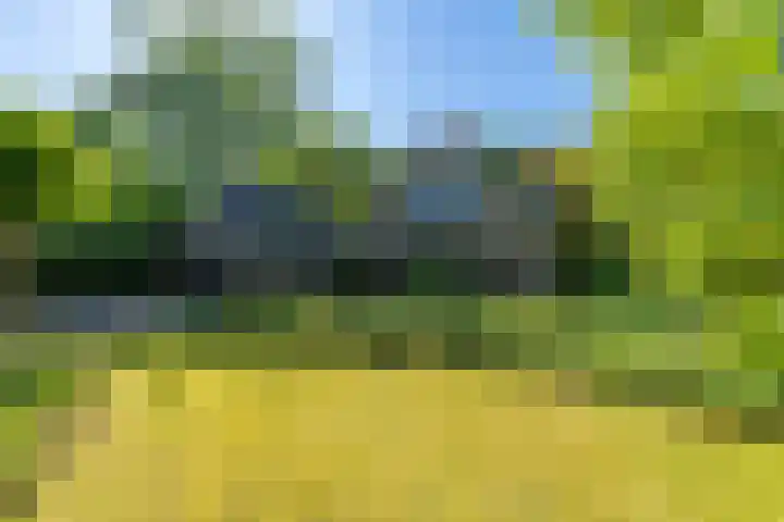 Dintel 39 Tilburg thumbnail 52