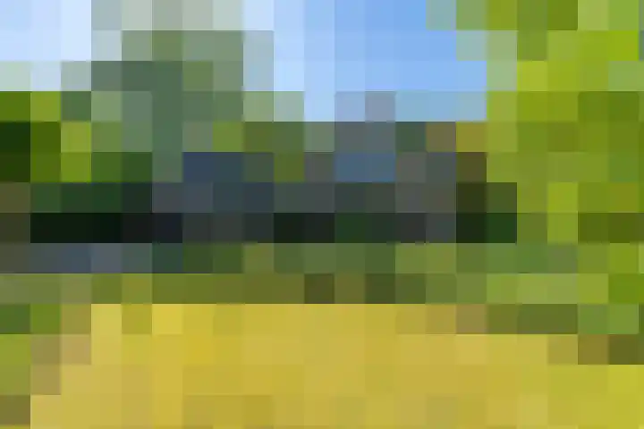 Dintel 39 Tilburg thumbnail 6