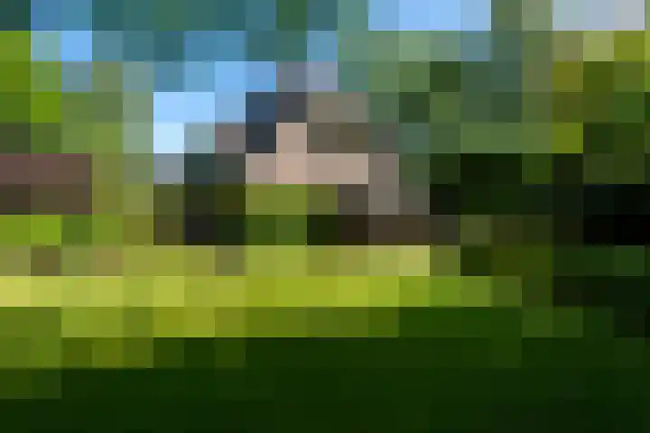 Dintel 39 Tilburg thumbnail 8
