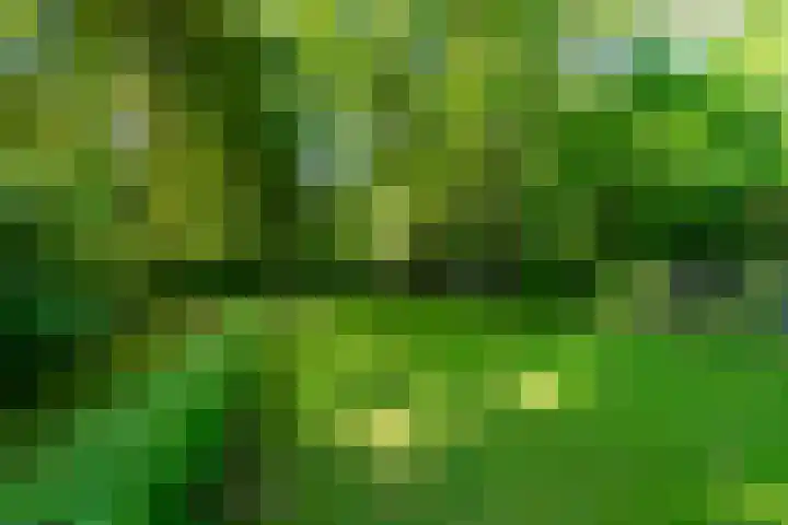 Dintel 39 Tilburg thumbnail 9