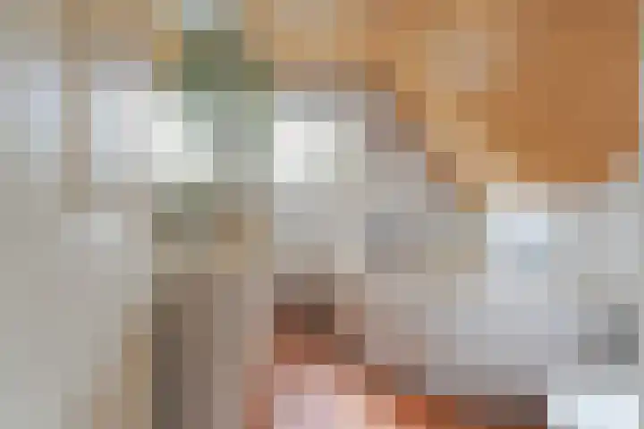 Dintel 44 Tilburg thumbnail 25