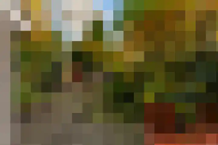 Dintel 44 Tilburg thumbnail 31