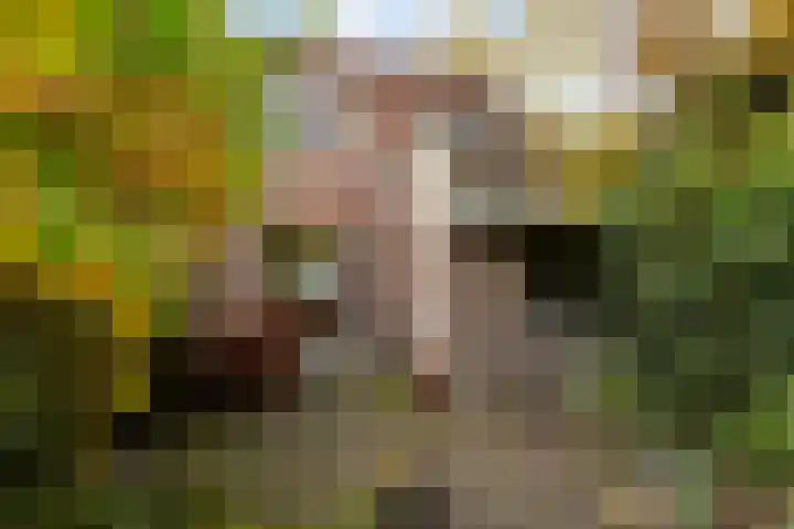 Dintel 44 Tilburg thumbnail 32