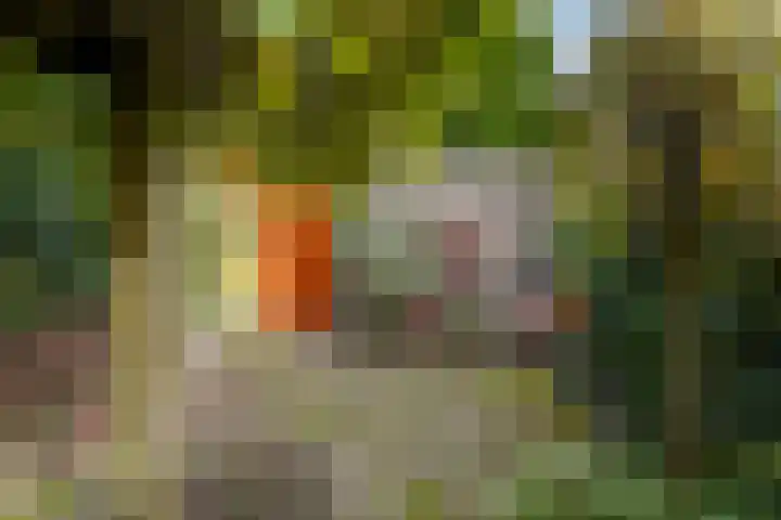 Dintel 44 Tilburg thumbnail 34
