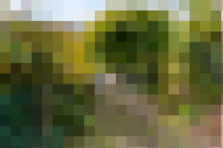 Dintel 44 Tilburg thumbnail 35