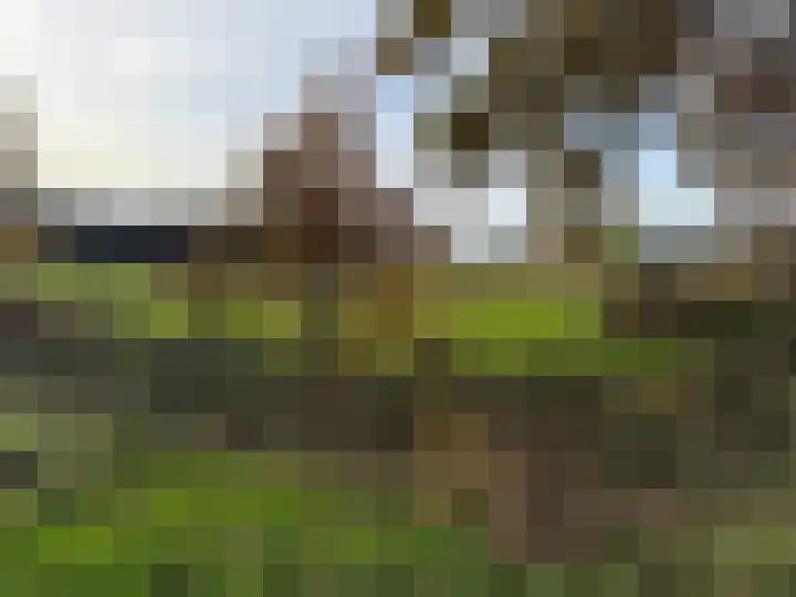 Dintel 44 Tilburg thumbnail 4