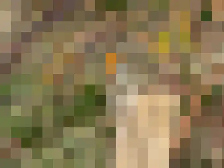 Dintel 44 Tilburg thumbnail 46