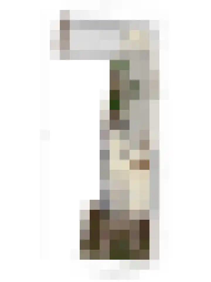 Dintel 44 Tilburg thumbnail 47