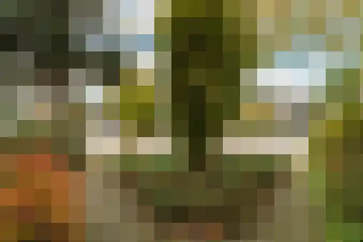Dintel 44 Tilburg thumbnail 5