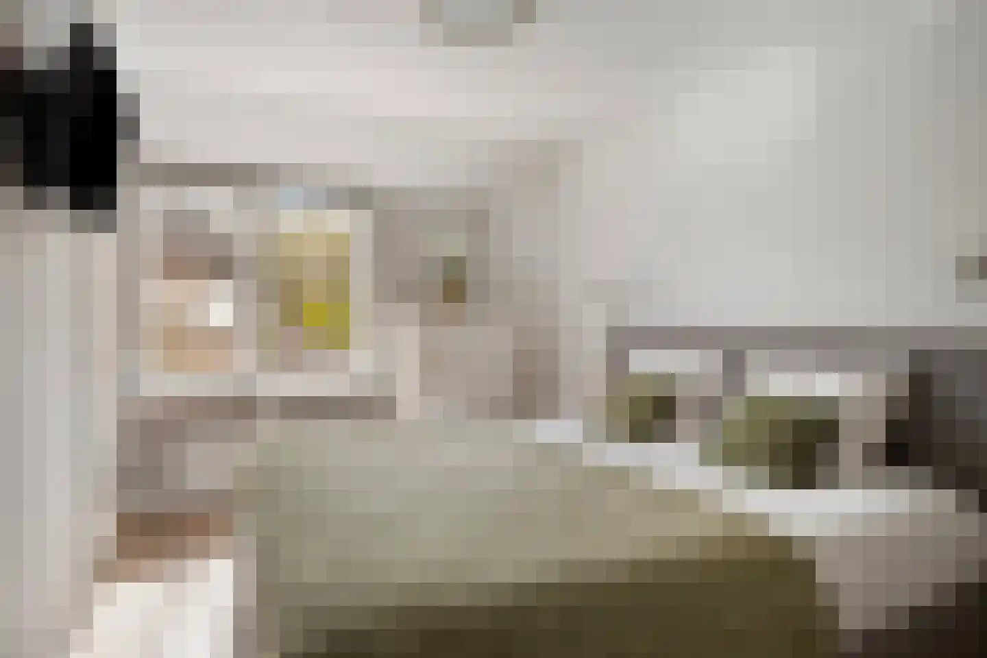 Dintel 76 a Tilburg thumbnail 27