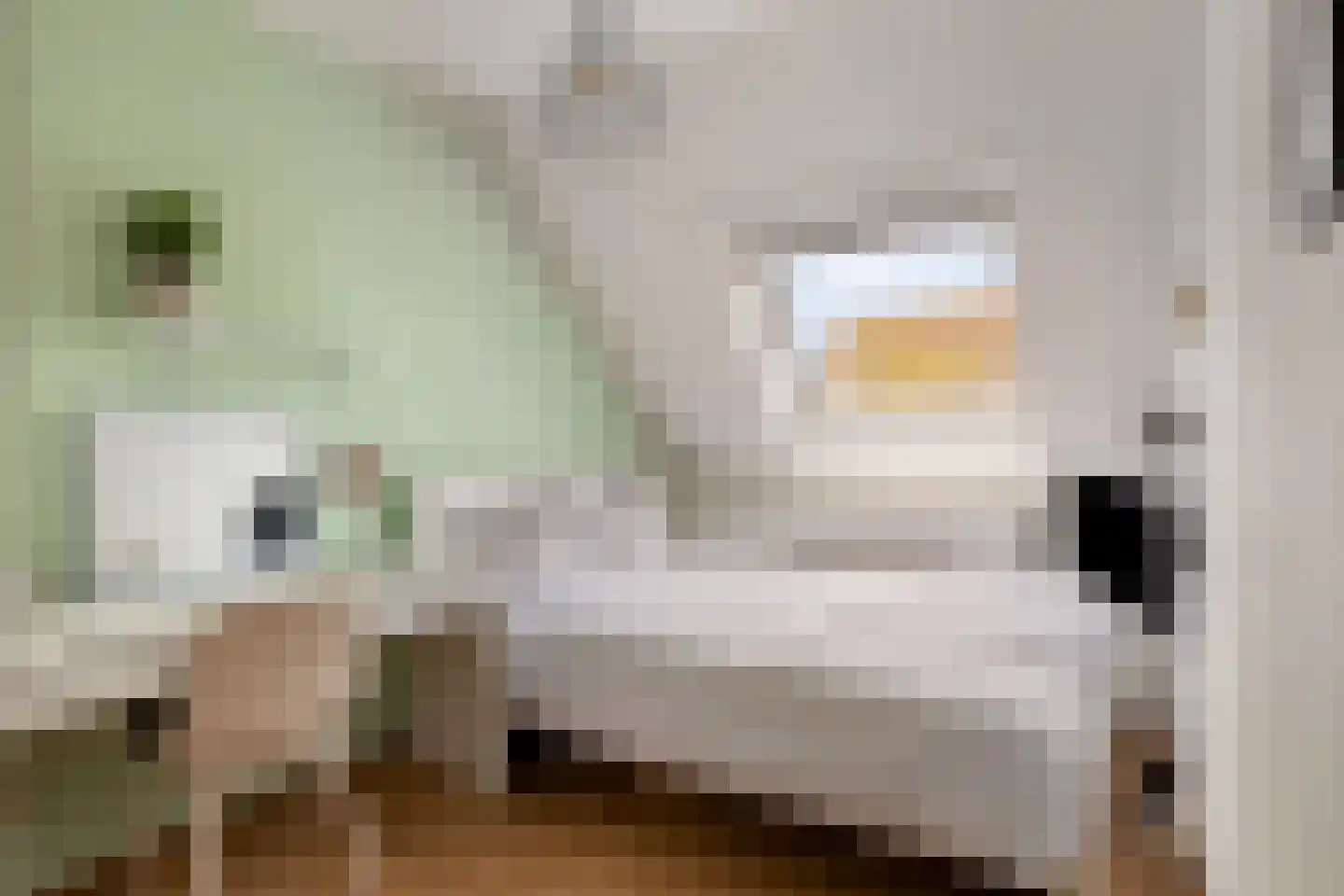 Dintel 76 a Tilburg thumbnail 31