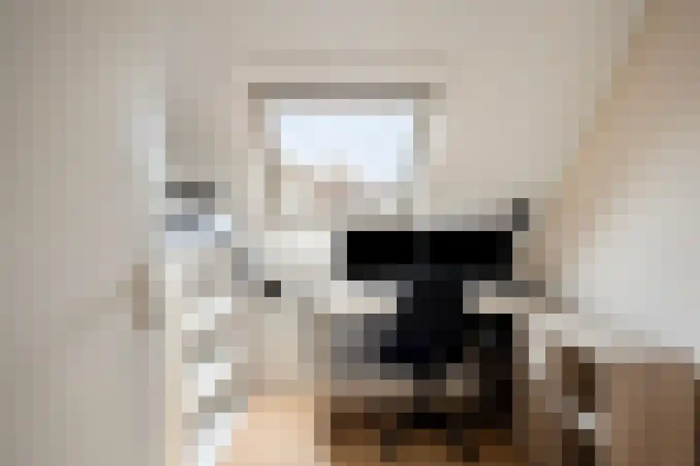 Dintel 76 a Tilburg thumbnail 36
