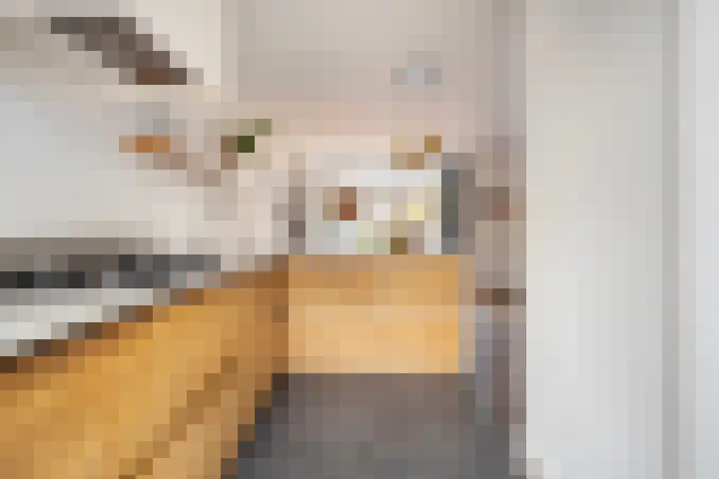 Dintel 76 a Tilburg thumbnail 4