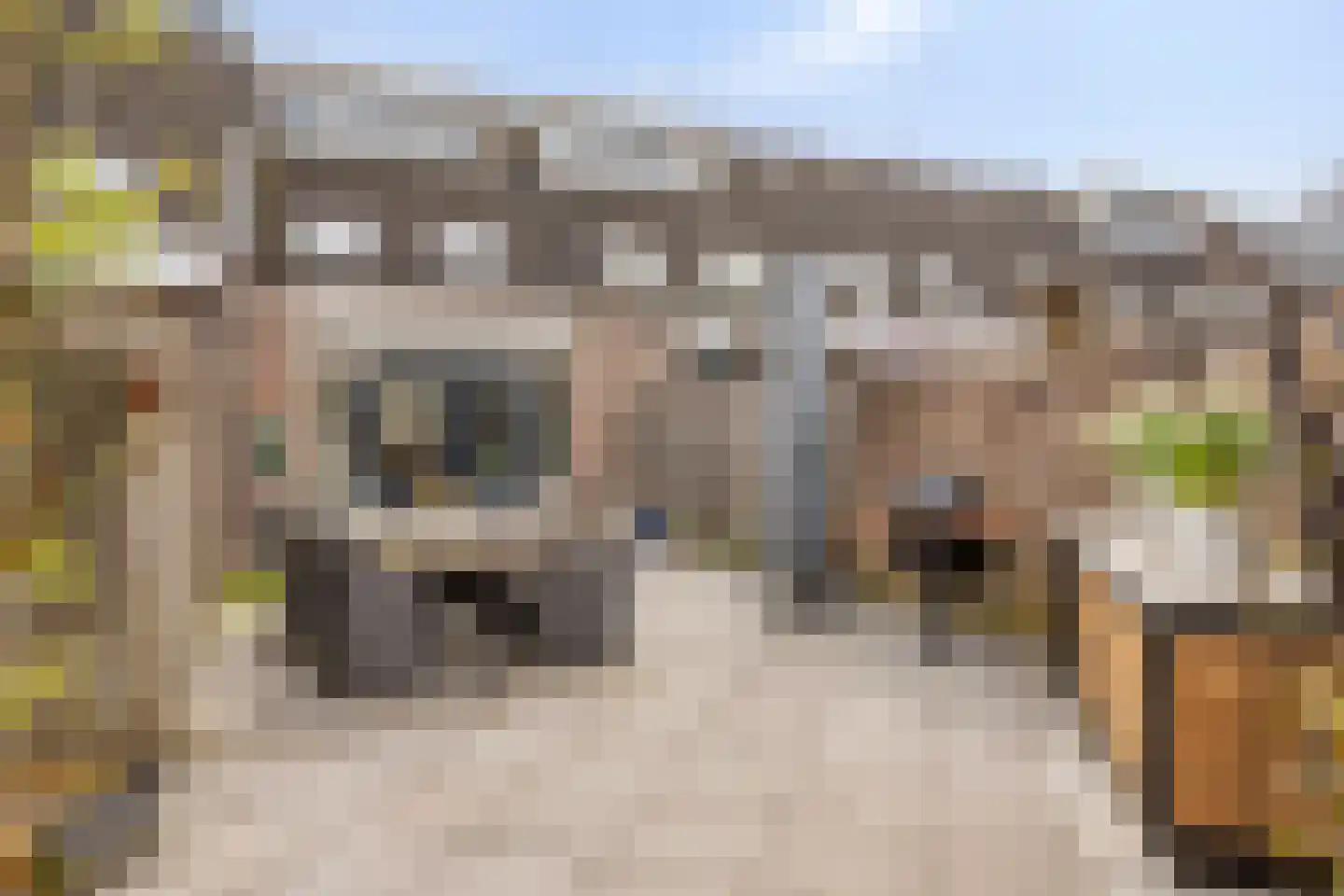 Dintel 76 a Tilburg thumbnail 41