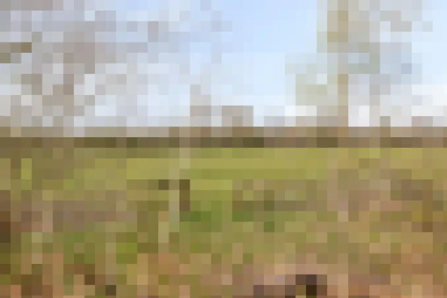 Dintel 76 a Tilburg thumbnail 51