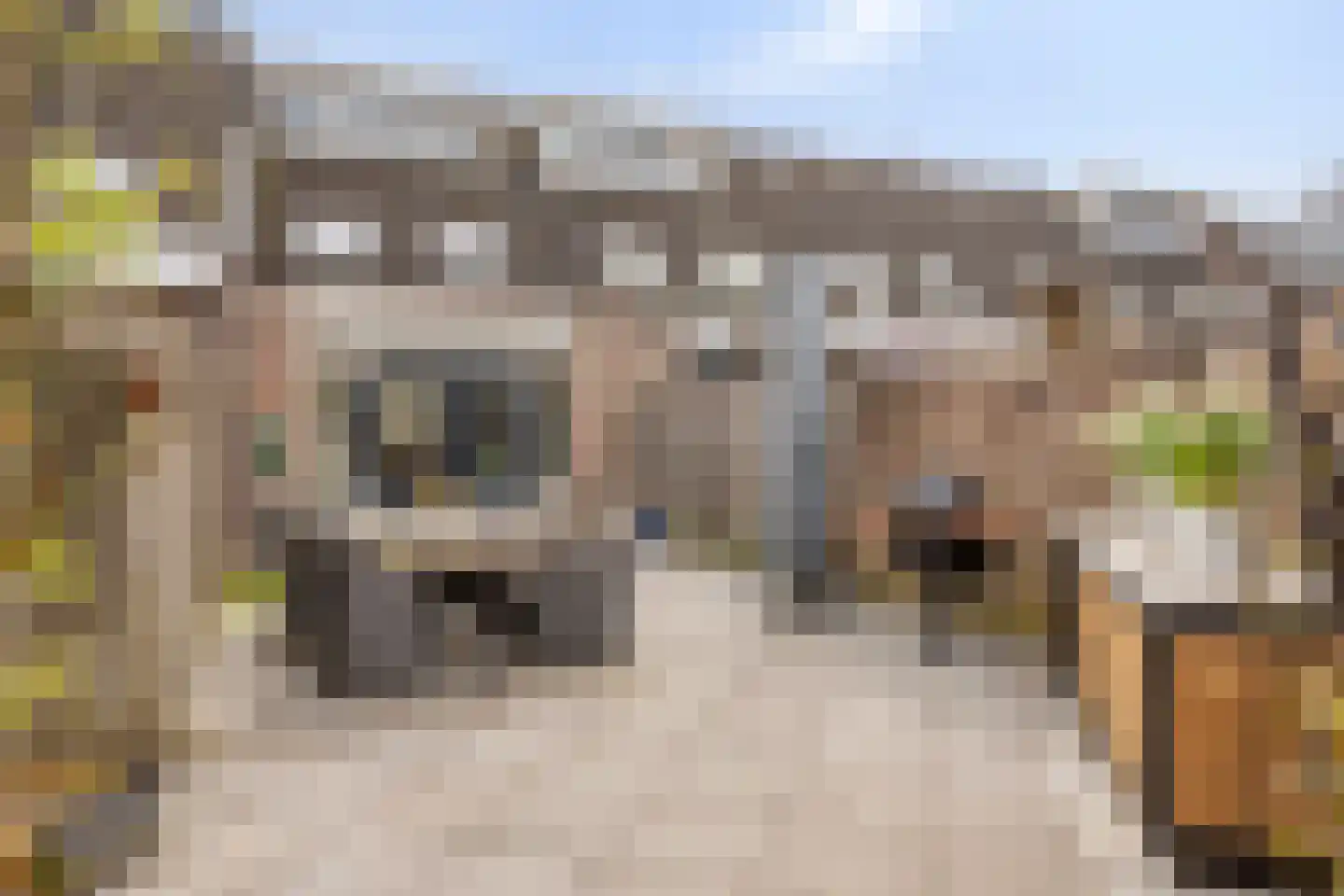 Dintel 76 a Tilburg thumbnail 8