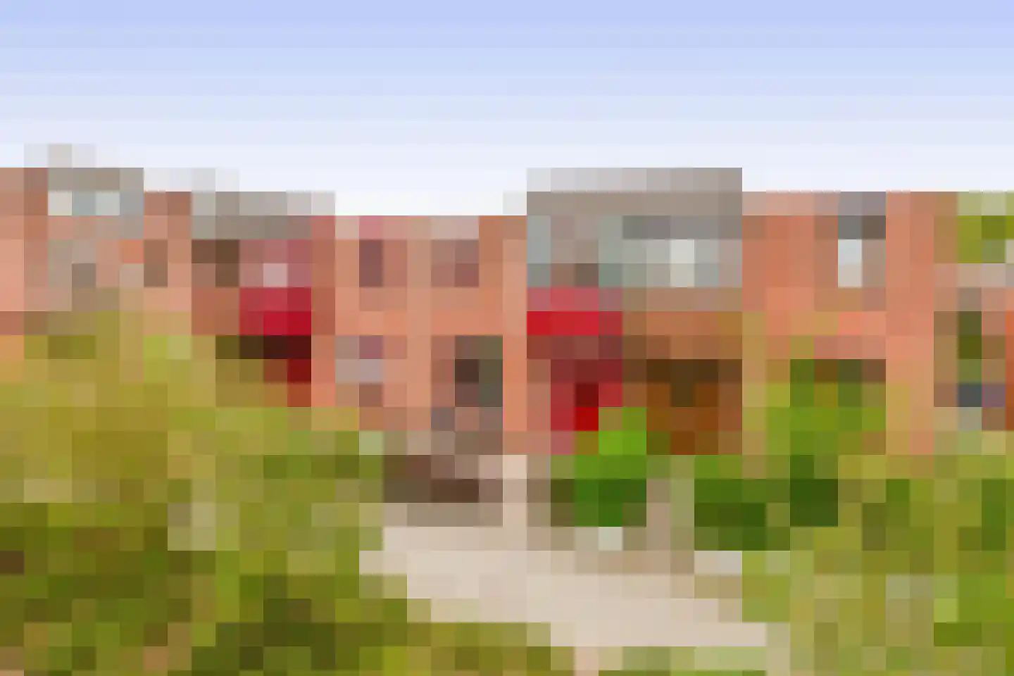 Dintelstraat 18 Dordrecht thumbnail 36