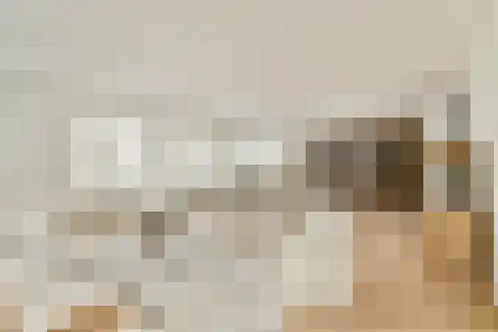 Dintelstraat 29 3 Amsterdam