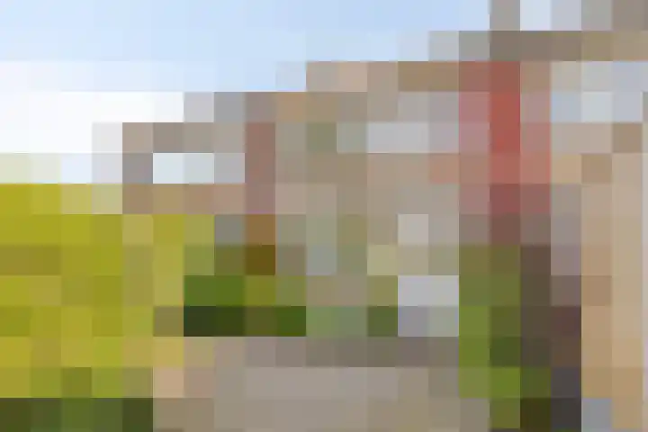 Dintelstraat 37 Alkmaar thumbnail 17