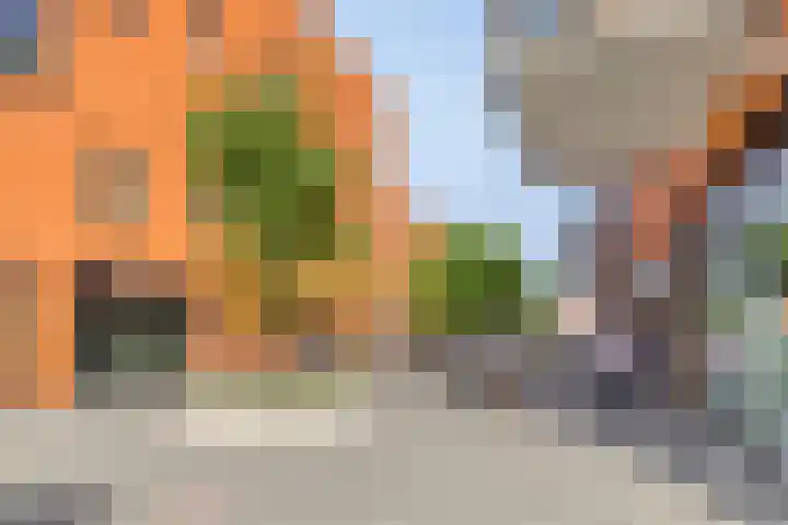 Dintelstraat 37 Alkmaar thumbnail 40