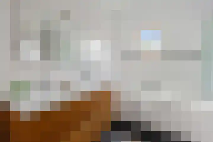 Dintelstraat 49 H Amsterdam thumbnail 41