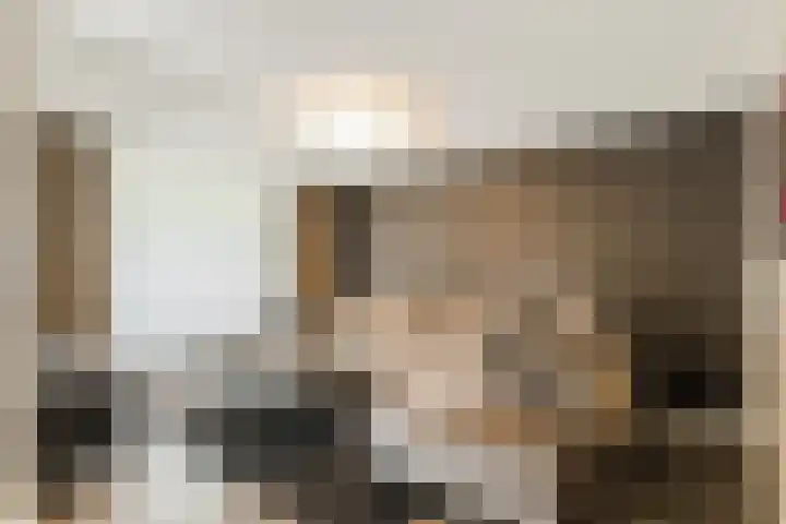 Dinxperlolaan 6 Tilburg thumbnail 5
