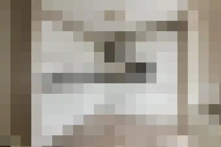 Dinxperlolaan 6 Tilburg thumbnail 7
