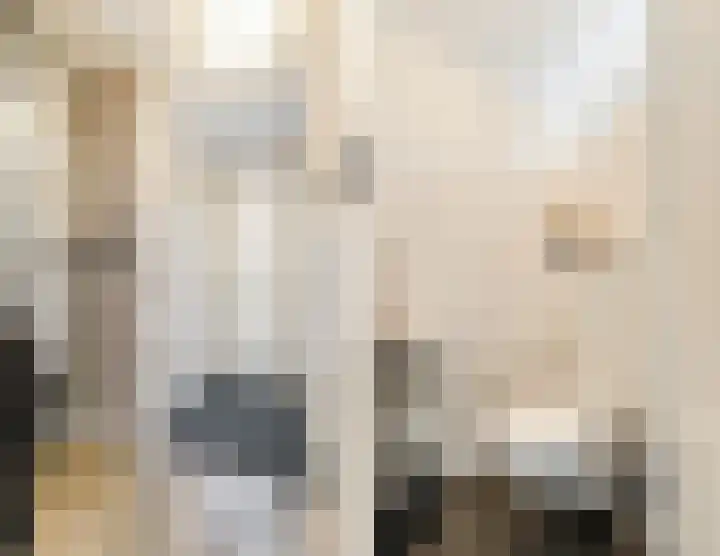 Dinxperlolaan 6 Tilburg thumbnail 8