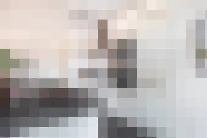 Diodehof 3 Eindhoven thumbnail 23