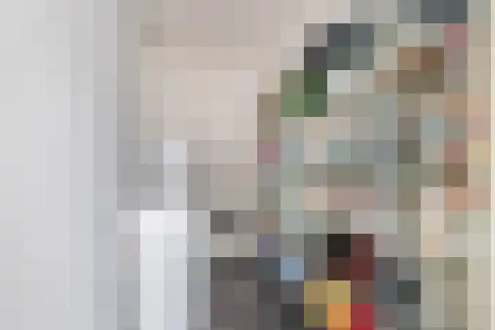 Diodehof 3 Eindhoven thumbnail 25