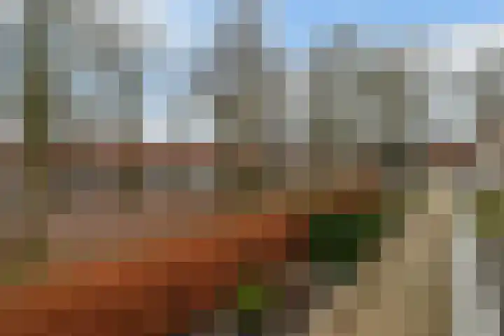 Diodehof 3 Eindhoven thumbnail 37