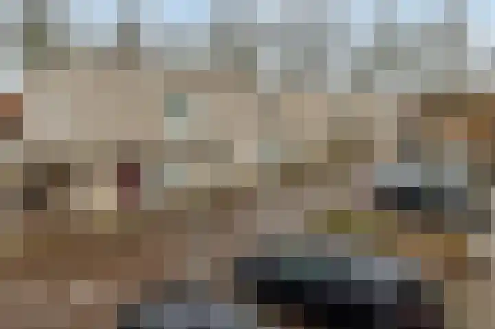 Diodehof 3 Eindhoven thumbnail 48