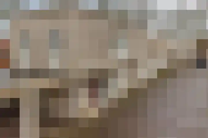 Diodehof 3 Eindhoven thumbnail 7