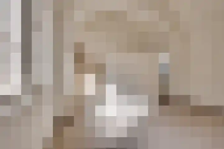 Dionysiusstraat 2 a Ommel thumbnail 17