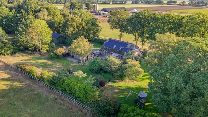 Diphoorn 7 in Diphoorn foto