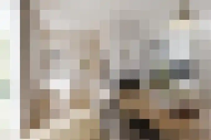 Dirk Bavolaan 36 dans Bodegraven