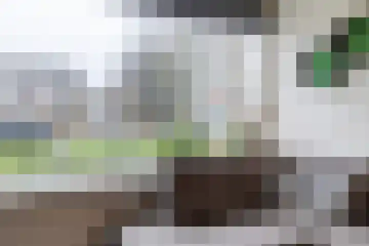 Dirk Bavolaan 36 Bodegraven thumbnail 13