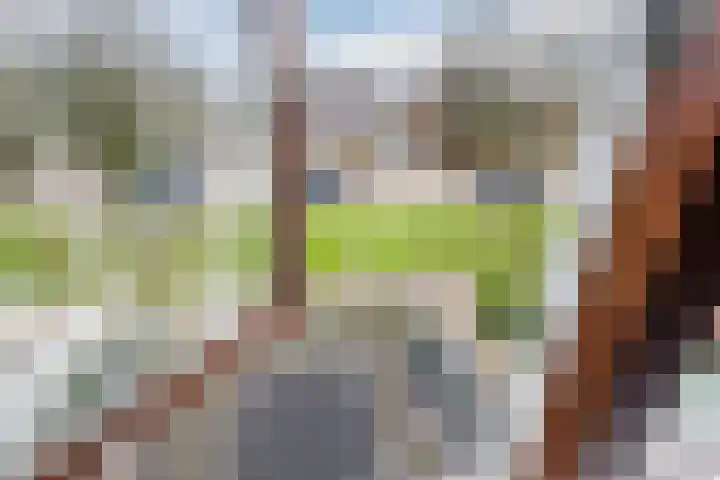 Dirk Bavolaan 36 Bodegraven thumbnail 29
