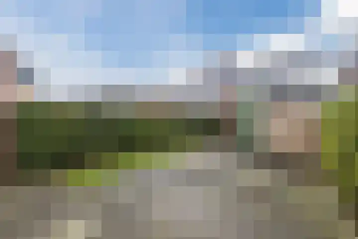 Dirk Bavolaan 36 Bodegraven thumbnail 30