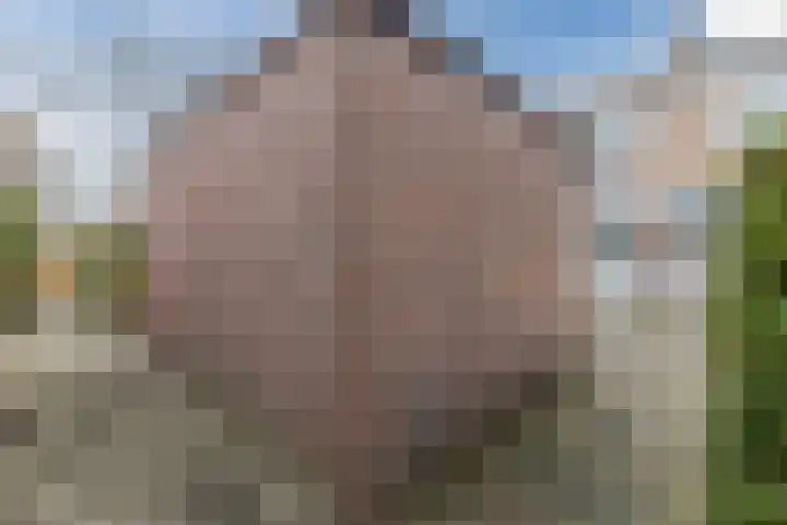 Dirk Bavolaan 36 Bodegraven thumbnail 32