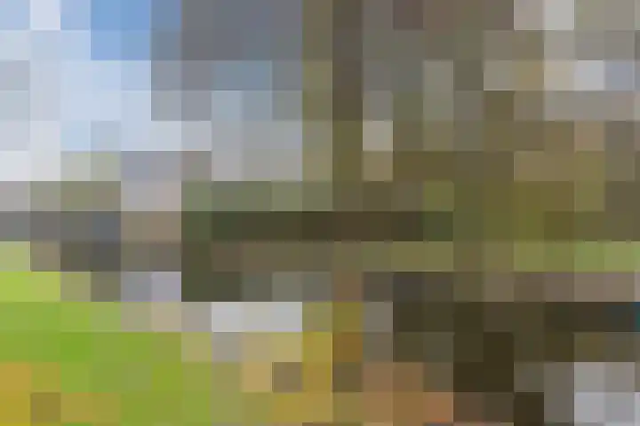 Dirk Bavolaan 36 Bodegraven thumbnail 36
