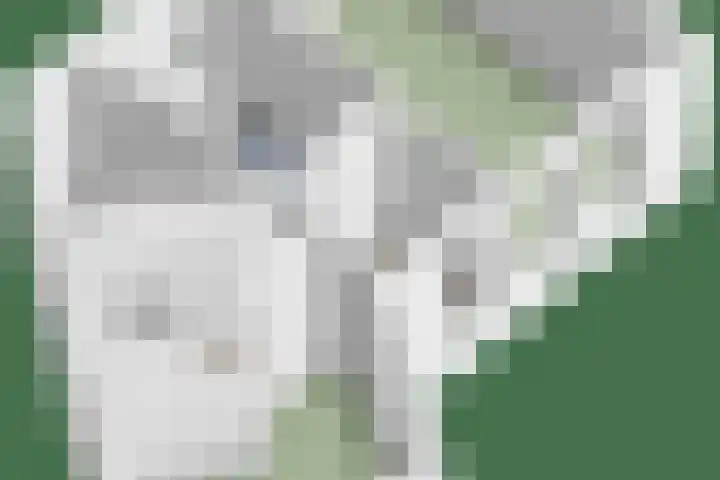 Dirk Gerhardtstraat 1 Schiedam thumbnail 29