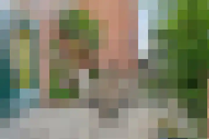 Dirk Gerhardtstraat 1 Schiedam thumbnail 4