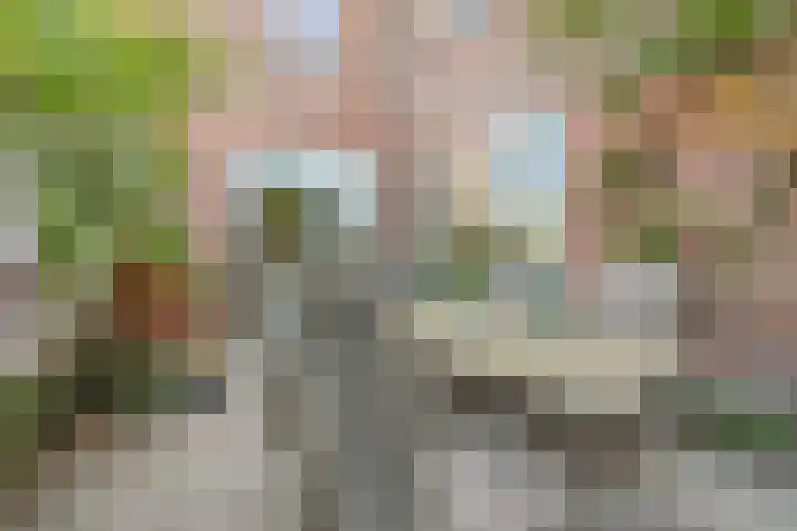 Dirk Gerhardtstraat 1 Schiedam thumbnail 5