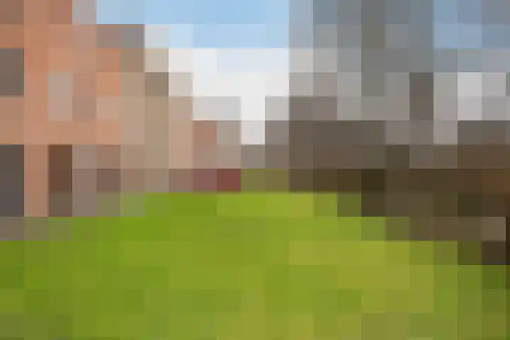 Dirk Gerhardtstraat 18 Schiedam thumbnail 30