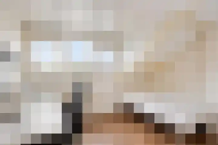 Dirk Thomaszstraat 11 Oud Ade thumbnail 15