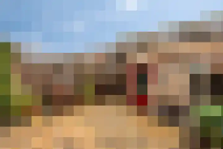 Dirk Thomaszstraat 11 Oud Ade thumbnail 17