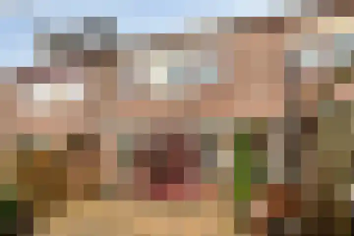 Dirk Thomaszstraat 11 Oud Ade thumbnail 18
