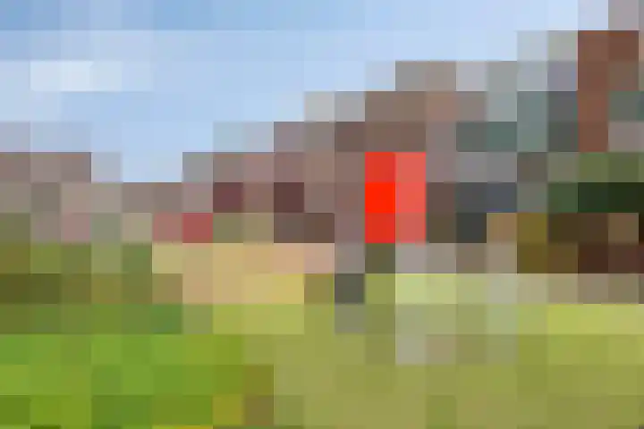 Dirk Thomaszstraat 11 Oud Ade thumbnail 19